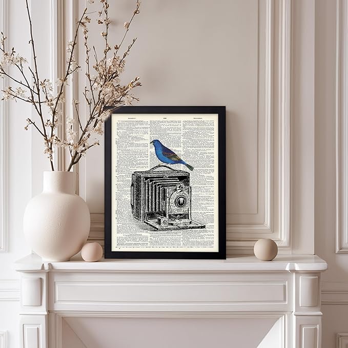 Poster Master Dictionary Art Poster - Antique Camera Print - Bird Art - Photography Art - Gift for Men, Women & Photographer - Chic Decor for Living Room, Bedroom or Office, 8x10 Black Framed