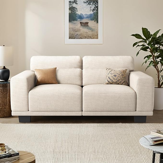 Pipishell Loveseat Couches for Living Room, 65" Modern Couch with Deep Seats and Wide Armrests, Comfortable Love Seat Sofa with Sturdy Frame, Easy to Clean with Removable Covers, White