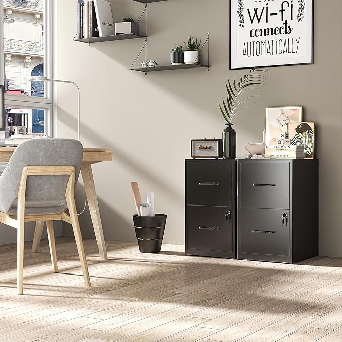 File Cabinet, Vertical File Cabinets with Lock for Home Office,Heavy Duty Office Steel Filing Cabinet for Hanging Letters/Legal/A4, Assembly Required (Black, 2 Drawers-Small)