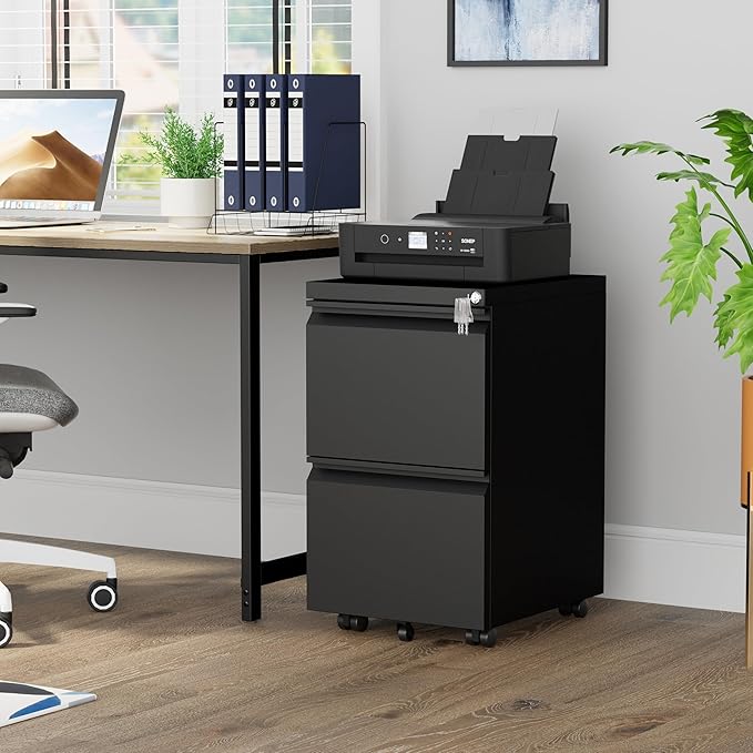 Metal Mobile File Cabinet with Lock and 4 Keys - Fully Assembled, Under Office Desk 2 Drawers Filing Cabinet for Home Office with Anti-tilt Wheels, A4/Legal/Letter Hanging File Drawers