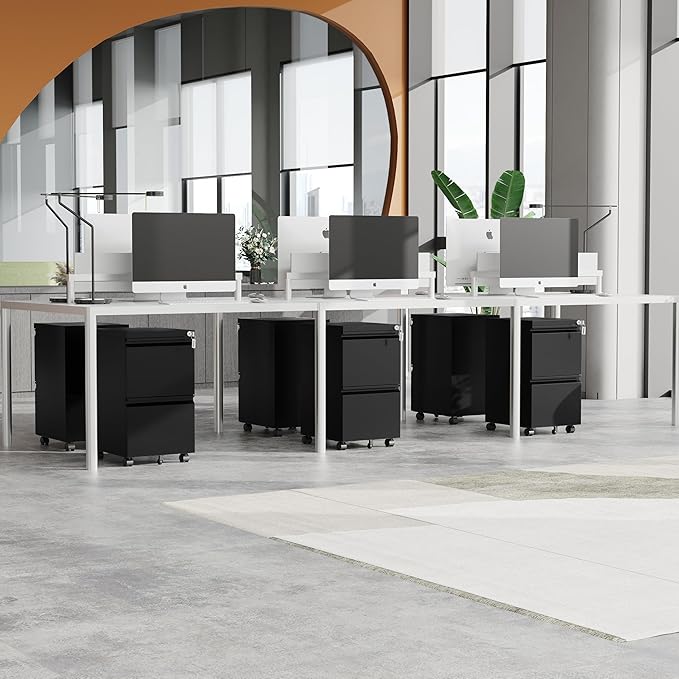 MIIIKO 2 Drawer File Cabinet on Wheels, Home Office Mobile File Drawers Under Desk, Filing Cabinets with Drawers for Legal/Letter/A4 File Folders(Black),Un-Assembled