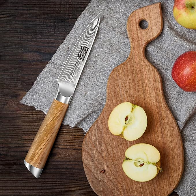Damascus Paring Knife 3.75 Inch, Professional 67 Layers Damascus Super Steel Small Fruit Knife, Super Sharp Hand Forged Japanese Paring Knife