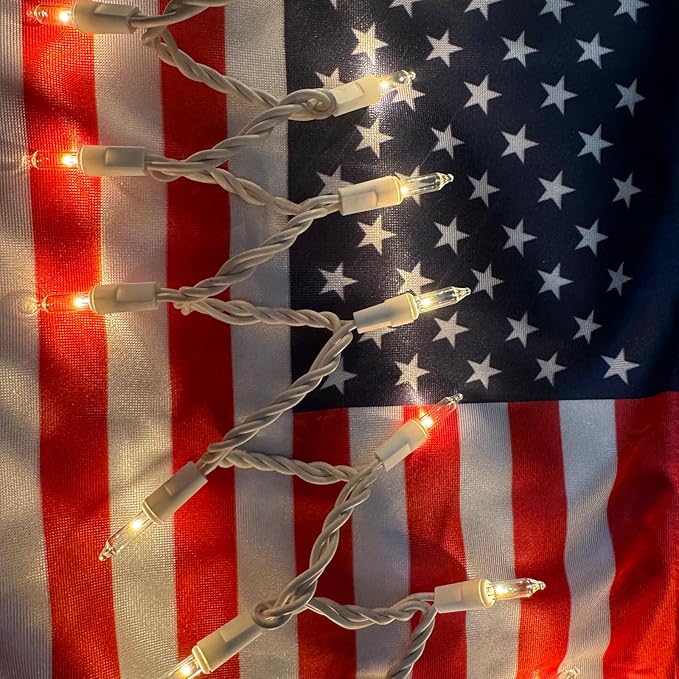 Christmas Lights 100 Count Clear Christmas Tree String Lights with White Wire for Outdoor Indoor Christmas Decorations Wedding Decorations Valentines Day Decor,UL Certified (21feet)