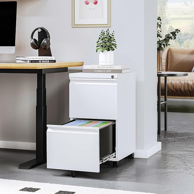 2 Drawer Mobile File Cabinet with Lock Steel Small Rolling File Cabinet Legal/Letter/A4 Size Under Desk Metal Filing Cabinet for Home Office Vertical Filing Cabinet Printer Stand Fully Assembled