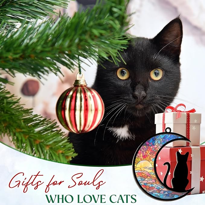 Christmas Ornaments Gifts for Cat Lovers - Double-Layered Christmas Ornament for Tree Decorations - Black Cat Lover Gifts for Women Men Friend, Xmas Birthday Gift for Pet Lovers Memorial Decor