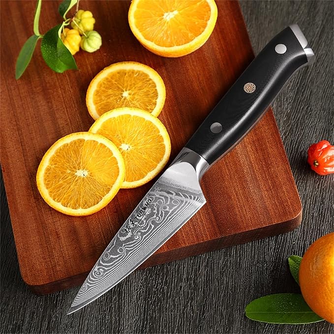 Professional Paring Knife 3.5 Inch - Classic Damascus Japanese VG-10 Steel Fruit Knife