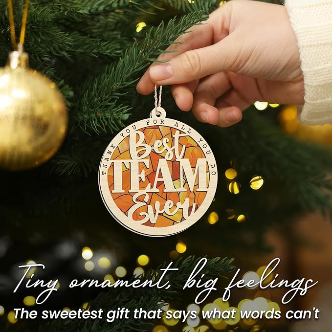 GEEMBI Team Appreciation Gifts for Coworkers - Suncatcher Christmas Ornaments 2025 for Tree Decorations - Christmas Birthday Thank You Gifts for Employee Coworkers Boss Women, Xmas Tree Decorations