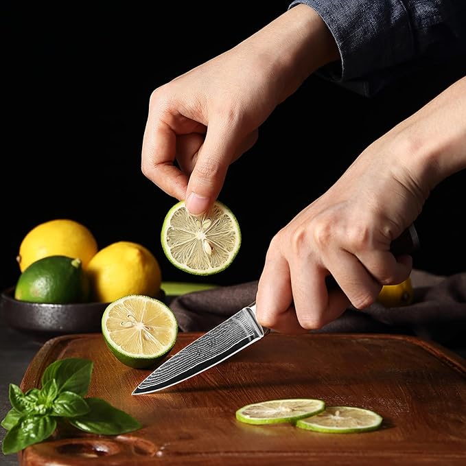 Wakoli Office Knife 3.2-inch Damascus Chef Knife - 67-Layer VG10 Core Steel, Razor Sharp with Pakkawood Handle, for Cooking & Slicing - Gift Box (EDIB)