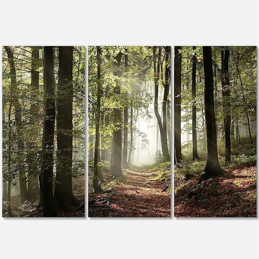 Designart Oversized Canvas Wall Art Décor - Green Fall Forest with Sun Rays - Forest Nature Wall Art Decor Sunshine Through Forest and Road Canvas Pictures - 36" x 28"