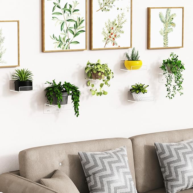 upsimples 6 Pack Acrylic Small Shelves, Floating Wall Shelves for Small Space, Display Shelf Organizer for Plants, Speaker, Toys, 4'' x 4'', Clear