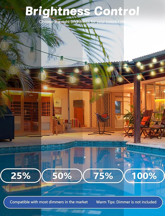 SUNSGNE 25Ft Round Christmas Lights Outdoor, G40 Globe String Lights with 27 LED Clear Lights(2 Spare), Green Wire String Lights for Yard Patio Porch Tent Pergola Backyard Christmas Decorations