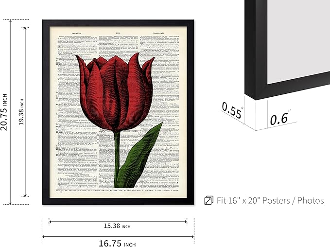 Poster Master Dictionary Art Poster - Tulip Print - Red Flower Art - Floral Art - Gift for Men, Women & Florist - Minimal Decor for Living Room, Bedroom, Dorm or Flower Shop, 16x20 Black Framed