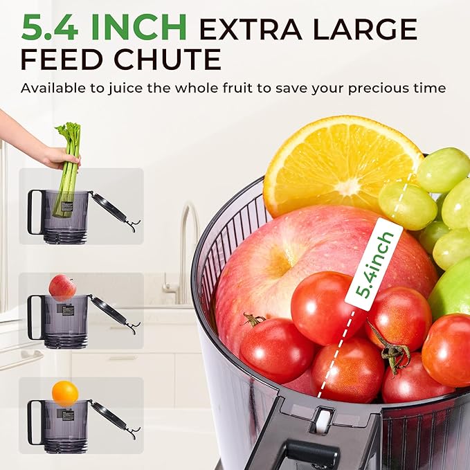 Masticating Juicer with 250W DC Motor, 5.4" Wide Feed Chute, Slow Cold Press Juice Extractor for Whole Fruits & Vegetables, High Juice Yield, DC-Black