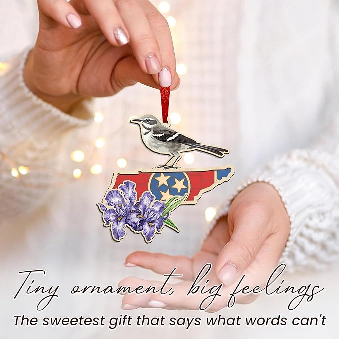 FLAGWIX Christmas Tennessee Gifts for Women Men - Suncatcher Tennessee Christmas Ornaments 2025 - State Ornaments for Tree with Mockingbird and Purple Iris, Xmas Decorations Gifts for Friend Family