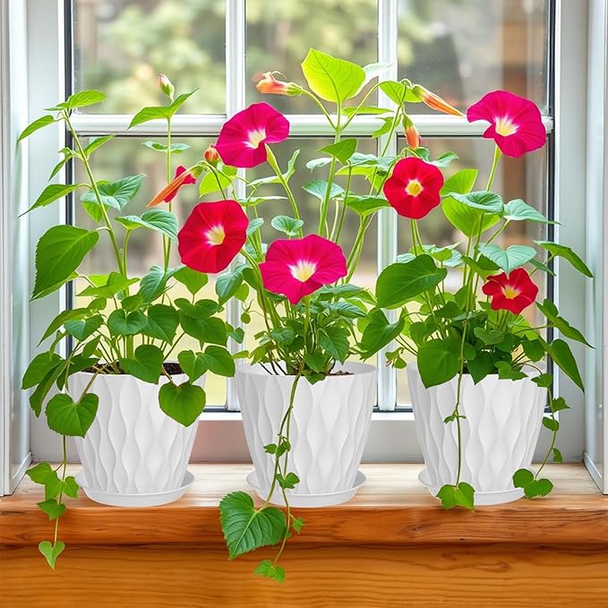 7 Inch Plant Pots 5 Pack, Plastic Flower Pots with Drainage Holes Saucers, Indoor Outdoor Planters for Plants, Lightweight Durable,White