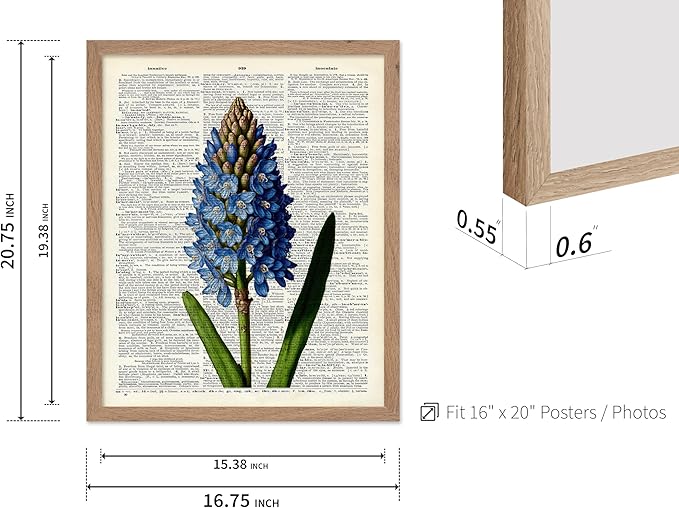 Poster Master Dictionary Art Poster - Blue Hyacinth Print - Flower Art - Floral Art - Gift for Men, Women & Florist - Minimal Decor for Bedroom, Office, Dorm or Flower Shop, 16x20 Beige Framed