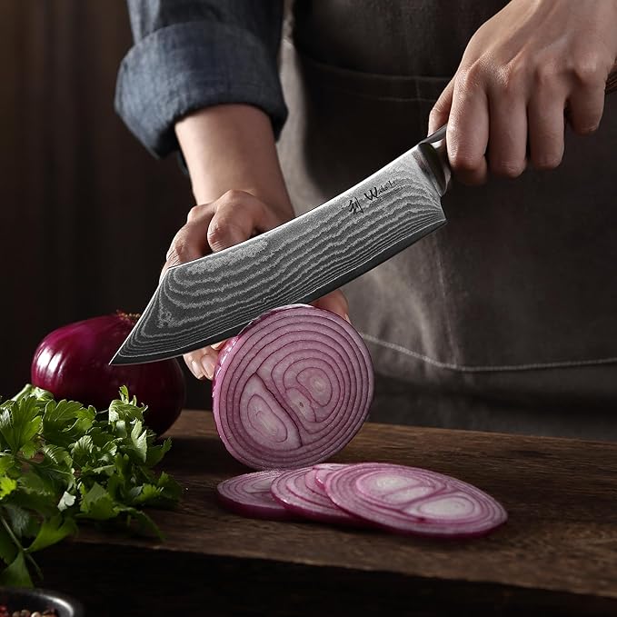 Wakoli EDIB Grill & Butcher Knife 8-inch - 67-Layer Damascus VG10 Core Steel, Professional Chef Knife with Pakkawood Handle, for Meat, Vegetables & Outdoor Grilling in Gift Box