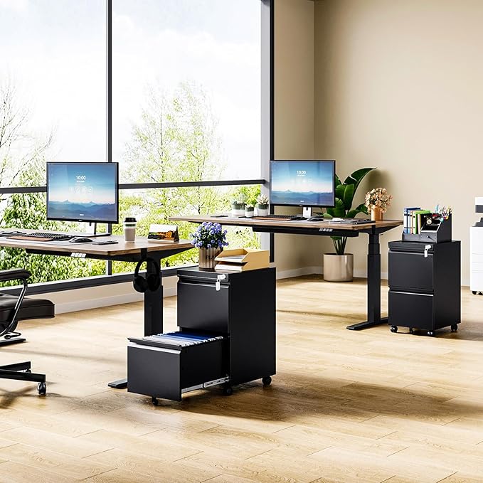 MIIIKO 2 Drawer File Cabinet on Wheels, Home Office Mobile File Drawers Under Desk, Filing Cabinets with Drawers for Legal/Letter/A4 File Folders(Black),Un-Assembled