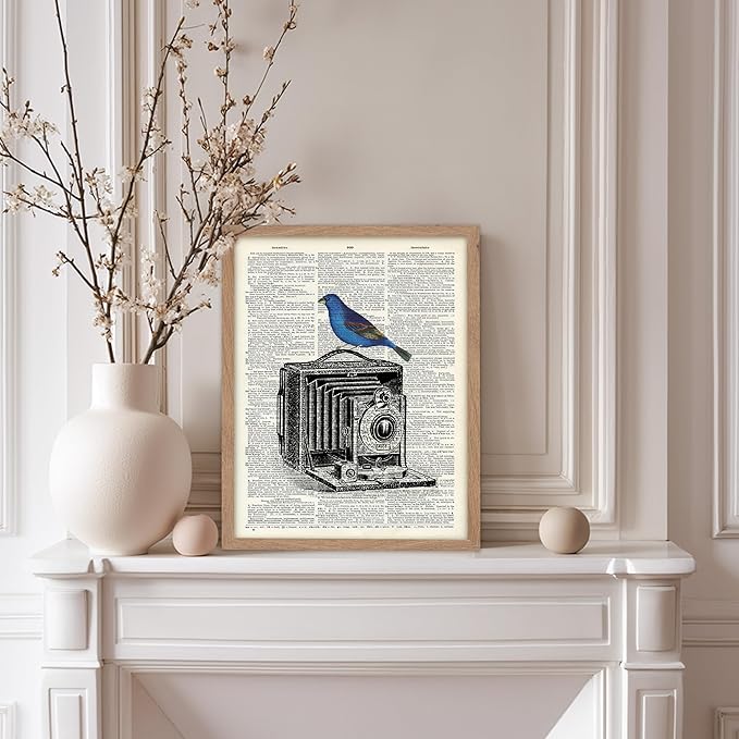 Poster Master Dictionary Art Poster - Antique Camera Print - Bird Art - Photography Art - Gift for Men, Women & Photographer - Chic Decor for Living Room, Bedroom or Office, 8x10 Beige Framed
