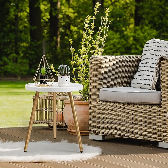 danpinera Round Side Table, Metal Legged Accent Table with Wooden Tray, Small Round End Table for Living Room, Bedroom, Nursery, White & Gold