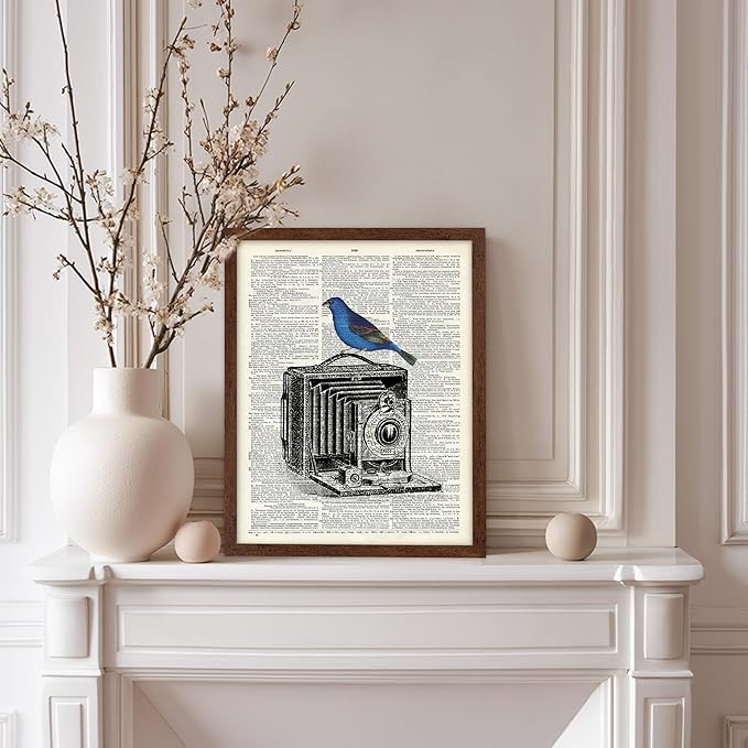 Poster Master Dictionary Art Poster - Antique Camera Print - Bird Art - Photography Art - Gift for Men, Women & Photographer - Chic Decor for Living Room, Bedroom or Office, 8x10 Brown Framed