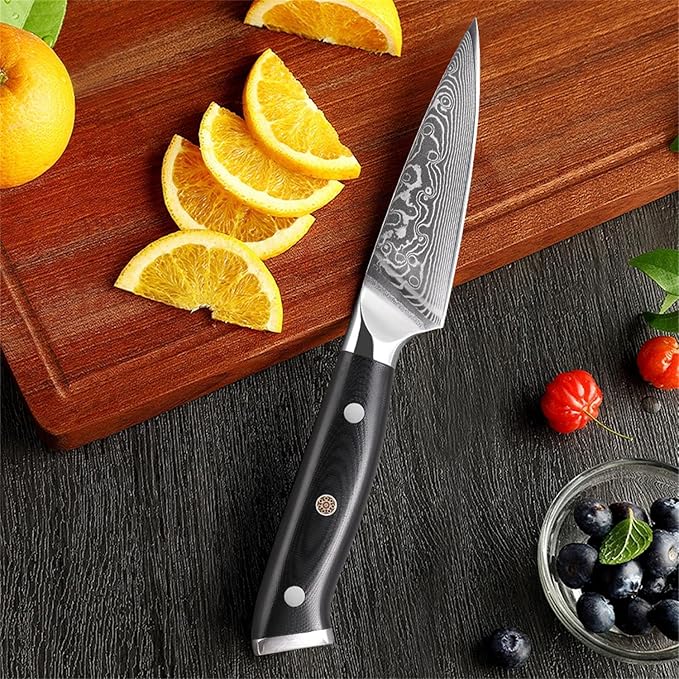 Professional Paring Knife 3.5 Inch - Classic Damascus Japanese VG-10 Steel Fruit Knife