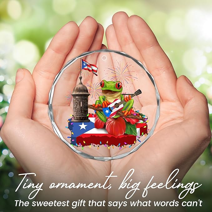 FLAGWIX Christmas Puerto Rico Gifts for Women Men - Coqui Frog Glass Ornaments 2025 for Tree Decorations - Puerto Rico Christmas Ornament for Home Decor Indoor, Gifts for Mom Dad, Friend Gift Ideas