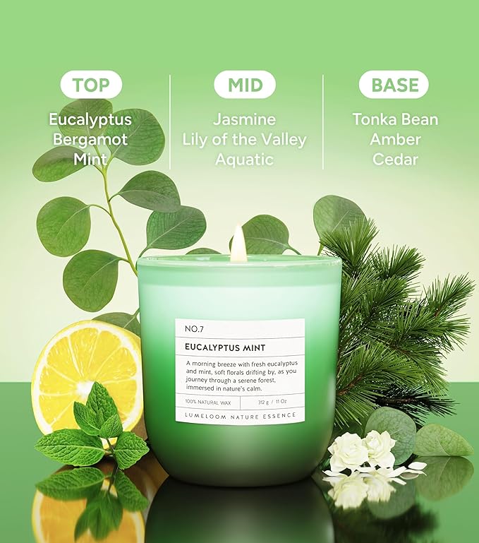 Eucalyptus & Mint Scented Candle, 11oz Aromatherapy Soy Wax Candles for Home Scented, Long Lasting, Eucalyptus Scent, Green Color, Gift for Women, Men, Sisters, Relaxation & Stress Relief