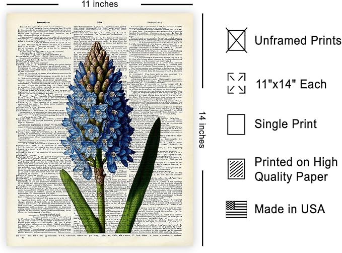 Poster Master Dictionary Art Poster - Blue Hyacinth Print - Flower Art - Floral Art - Gift for Men, Women & Florist - Minimal Decor for Bedroom, Office, Dorm or Flower Shop - 11x14 UNFRAMED Wall Art