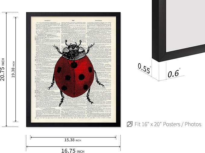 Poster Master Dictionary Art Poster - Retro Ladybug Print - Insect Art - Red Bug Art - Gift for Men, Women & Animal Lover - Minimal Decor for Living Room & Kid's Room, 16x20 Black Framed
