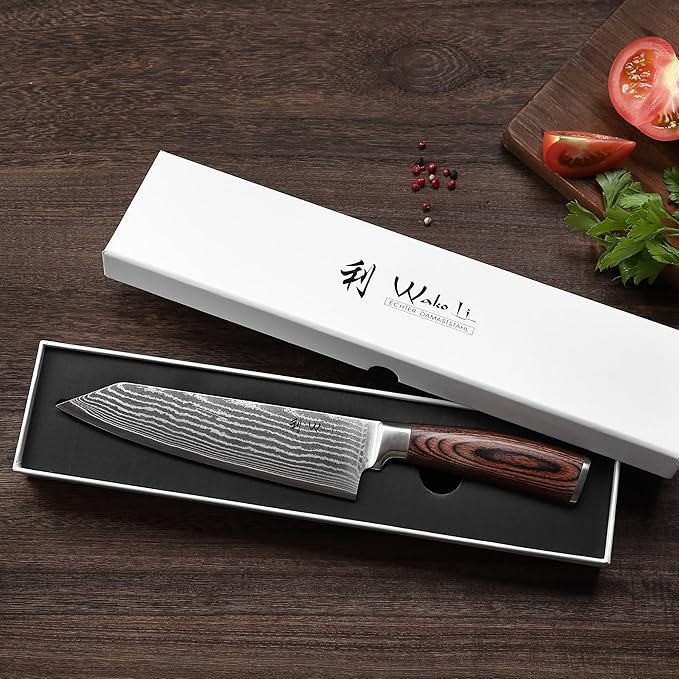 Wakoli EDIB Kiritsuke Chef Knife 8-inch - 67-Layer Damascus VG10 Core Steel, Razor Sharp Japanese Kitchen Knife with Pakkawood Handle, for Meat, Fish & Vegetables