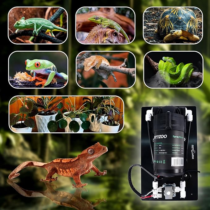 REPTI ZOO Misting System with Timer, Reptile humidifier with 4 Spray Nozzles & 2 Drip Nozzles, Low Noise Self-Priming Pump, Mister System for Reptile Amphibians Habitat, Botanical Gardens