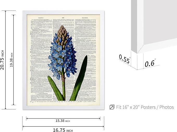 Poster Master Dictionary Art Poster - Blue Hyacinth Print - Flower Art - Floral Art - Gift for Men, Women & Florist - Minimal Decor for Bedroom, Office, Dorm or Flower Shop, 16x20 White Framed