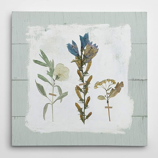 Wexford Home Pressed Flowers on Shiplap Gallery Wrapped Canvas Wall Art, 16x16, 18762-16x16