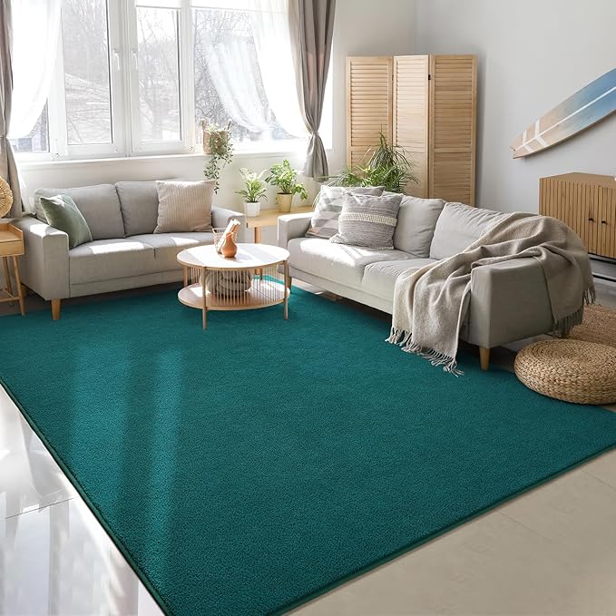 Soft Rugs for Living Room 5x7 Teal Green, Minimalist Area Rug for Bedroom Nursery Dining Table Dorm, Throw Rugs for Men Boys Girls Kids Room Indoor Floor Carpets