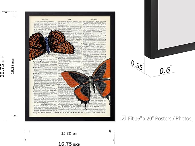 Poster Master Dictionary Art Poster - Butterflies Print - Moth Art - Butterfly Art - Insect Art - Gift for Men, Women & Animal Lover - Chic Decor for Living Room or Bedroom, 16x20 Black Framed