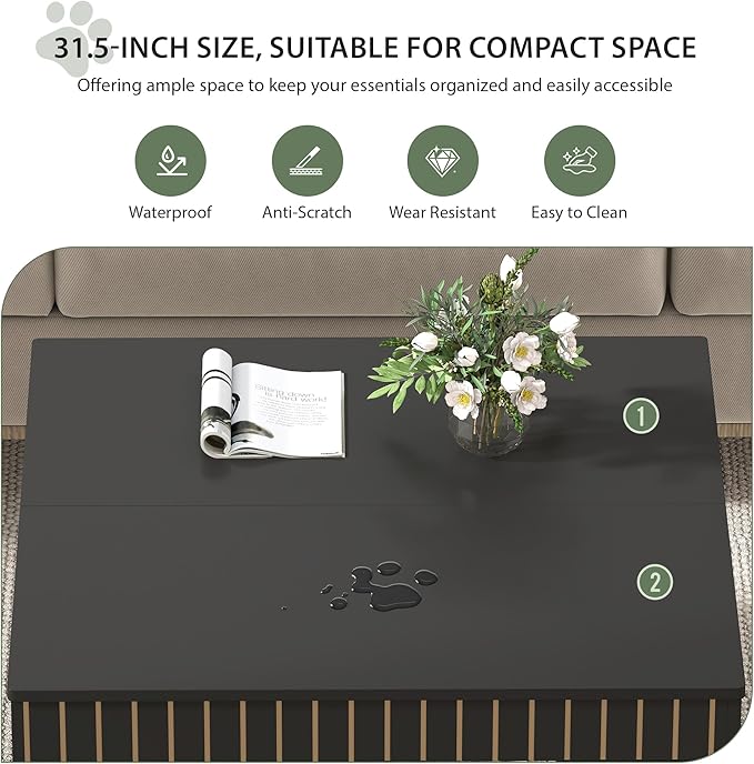 31.5" Square Coffee Table with Storage, Mid-Century Modern Center Table with Arched Cutouts and Carved Lines, 2-Tier Tea Table for Living Room, Cat-Friendly Base (Black)