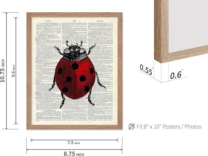 Poster Master Dictionary Art Poster - Retro Ladybug Print - Insect Art - Red Bug Art - Gift for Men, Women & Animal Lover - Minimal Decor for Living Room & Kid's Room, 8x10 Beige Framed