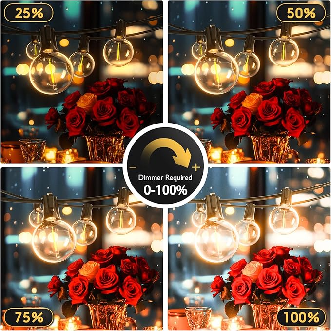 Outdoor String Lights 40ft LED Hanging Globe Patio Lights with G40 Shatterproof Bulbs(14+1 Bulbs), Waterproof Connectable Hanging Light for Indoor Outdoor Decor Garden Camping Backyard Porch