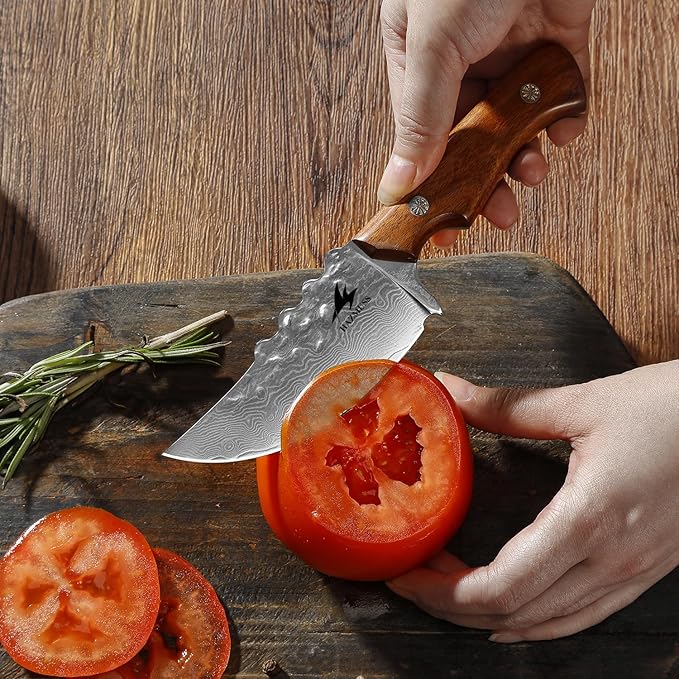 Damascus Utility Knife with Sheath - Kitchen Knife - 3.8" Damascus Steel Blade with Ergonomic Wooden Handle, Full Tang for Outdoors & Kitchen