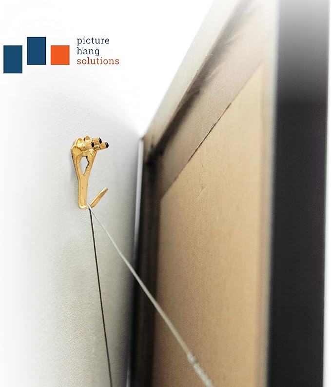 PHS 100 lb Picture Hangers, 100 Pack with Nails - Picture Hanging Hooks, Picture Hanging Hardware, Frame Hooks or Hangers, Heavy Duty Picture Hangers, Mirror Hanger - for Drywall and Plaster