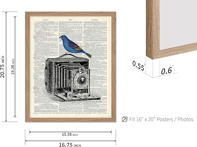 Poster Master Dictionary Art Poster - Antique Camera Print - Bird Art - Photography Art - Gift for Men, Women & Photographer - Chic Decor for Living Room, Bedroom or Office, 16x20 Beige Framed