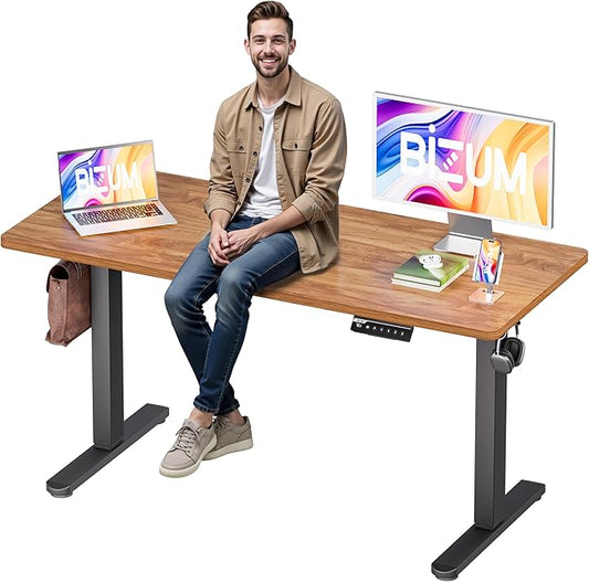 Electric Standing Desk, 55x24 inches Height Adjustable Desk, Sit to Stand Desks Memory Gaming Computer Workstation for Home Office, Light Rustic Brown