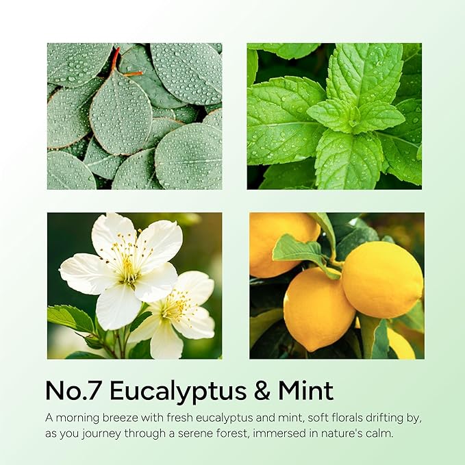 Eucalyptus & Mint Scented Candle, 11oz Aromatherapy Soy Wax Candles for Home Scented, Long Lasting, Eucalyptus Scent, Green Color, Gift for Women, Men, Sisters, Relaxation & Stress Relief