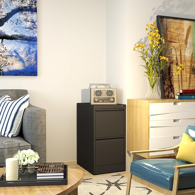 AQY 2 Drawer File Cabinet with Lock, Metal Filing Cabinets for Home Office, 18" Deep Heavy Duty Vertical Storage Cabinet for Hanging A4/Letter/Legal Size Files, Assembly Require