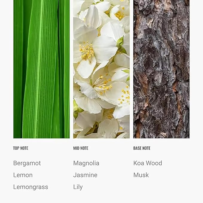 24K Diffuser Essential Oil Scent - Luxury Hotel Inspired Aromatherapy Scent Diffuser Oil - Hints of Zesty Citrus, Floral Jasmine, & Delicate Lily - for Essential Oil Diffusers - 500mL