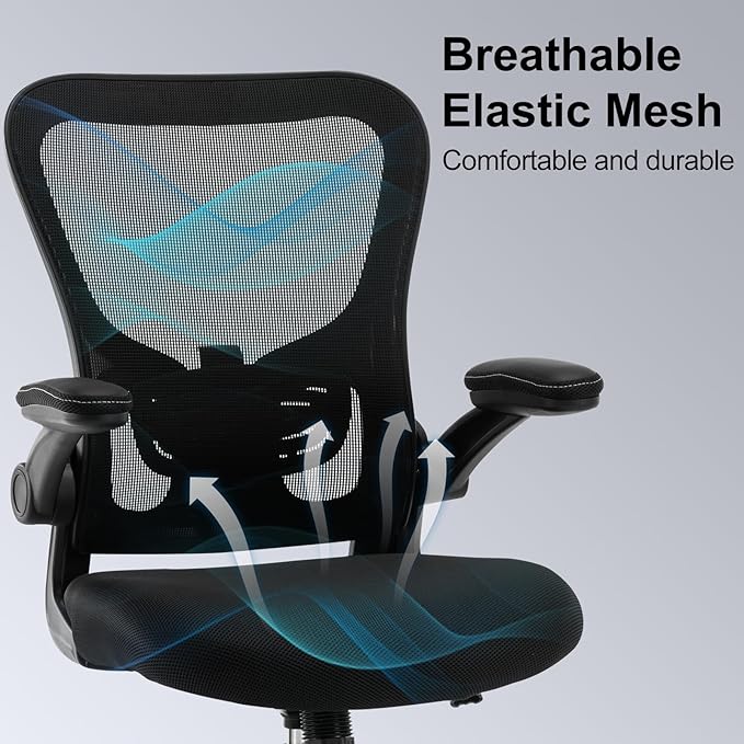 Office Chair Ergonomic Desk Chair Mesh Computer Home Office Desk Chair with Adjustable Lumbar Support Flip-up Armrests, 360 Swivel Comfy Task Executive Chair, Black