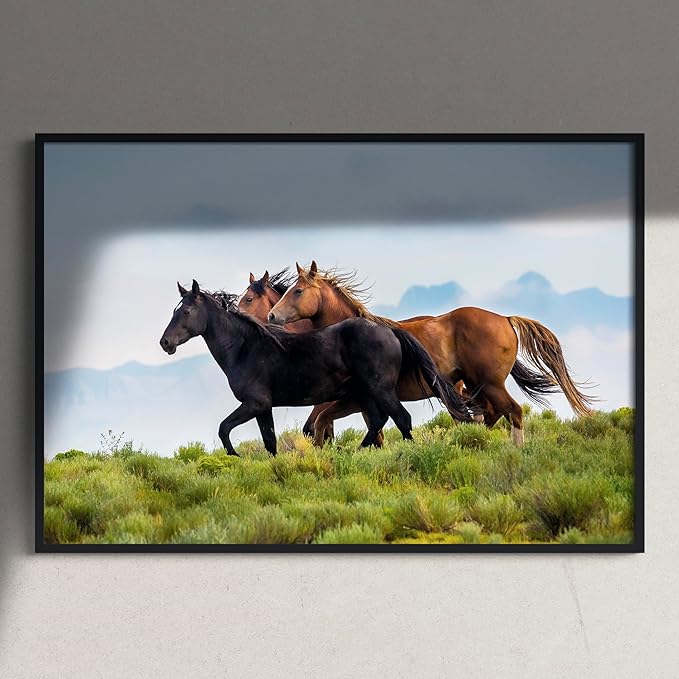 Custom Poster Print, 16x12, Upload Any Photos/Images, Personalized Photo Prints, DIY Your Own Poster, Photo to Poster Printing