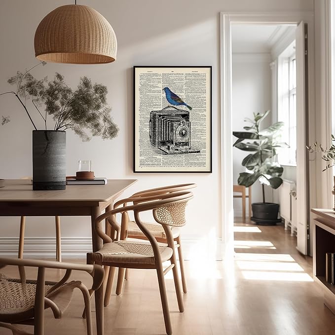 Poster Master Dictionary Art Poster - Antique Camera Print - Bird Art - Photography Art - Gift for Men, Women & Photographer - Chic Decor for Living Room, Bedroom or Office, 24x32 Unframed Wall Art