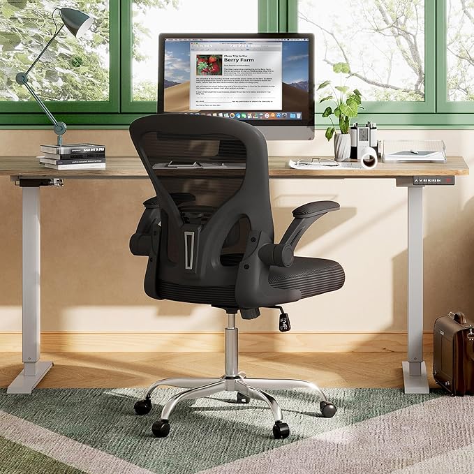 DEVAISE Office Chair, Ergonomic Computer Desk Chair with Flip-up Armrests, Comfy Mesh with Adjustable Lumbar Support, Black